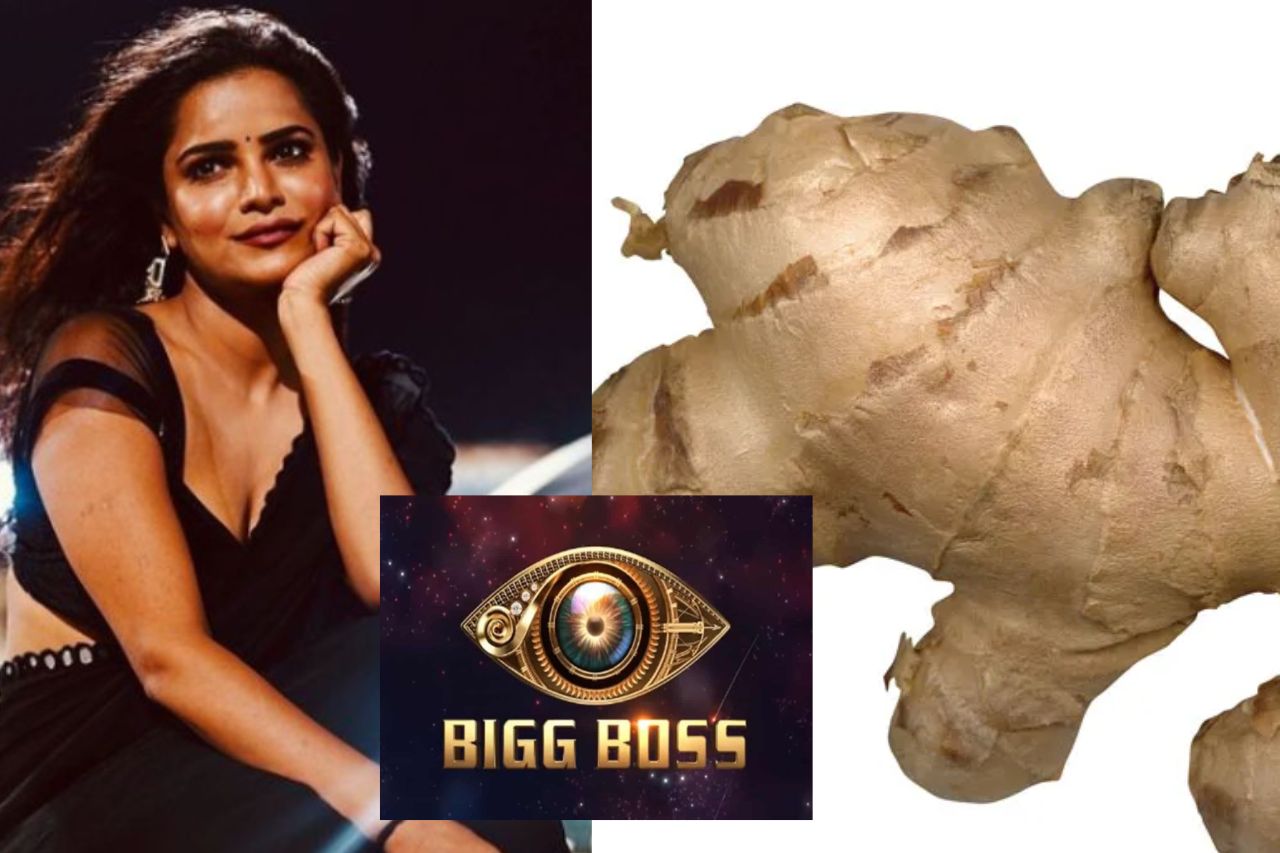 Bigg Boss 16 Update: Ginger attack