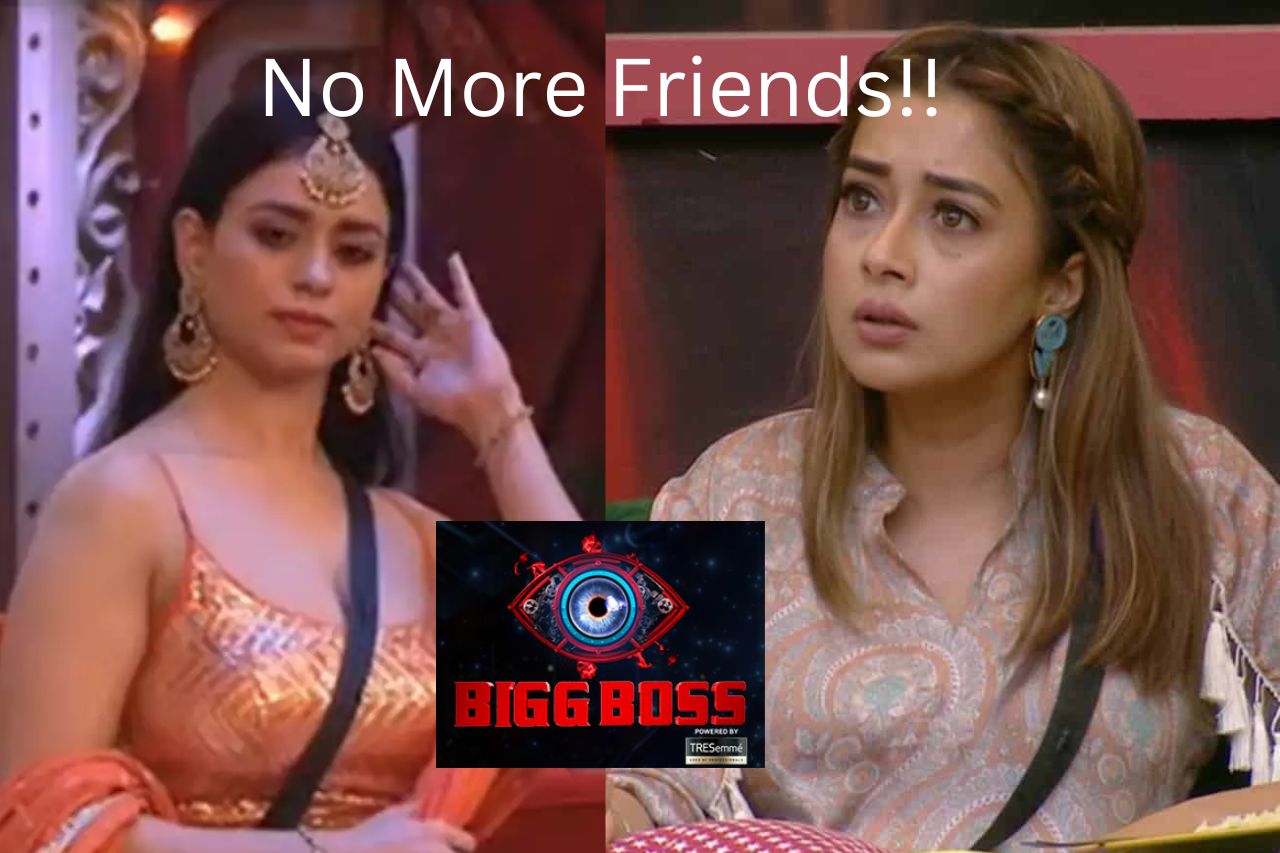 Saundarya gives a sharp reply to Tina's betrayal: Bigg Boss 16