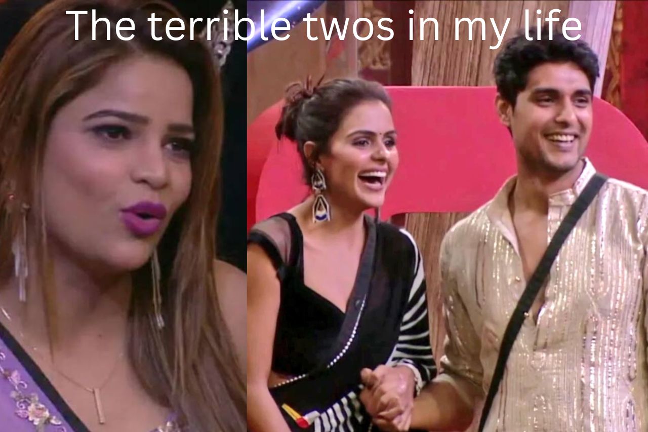 Archana and Ankit; the Terrible Twos in my life- Priyanka Choudhary: Bigg Boss 16