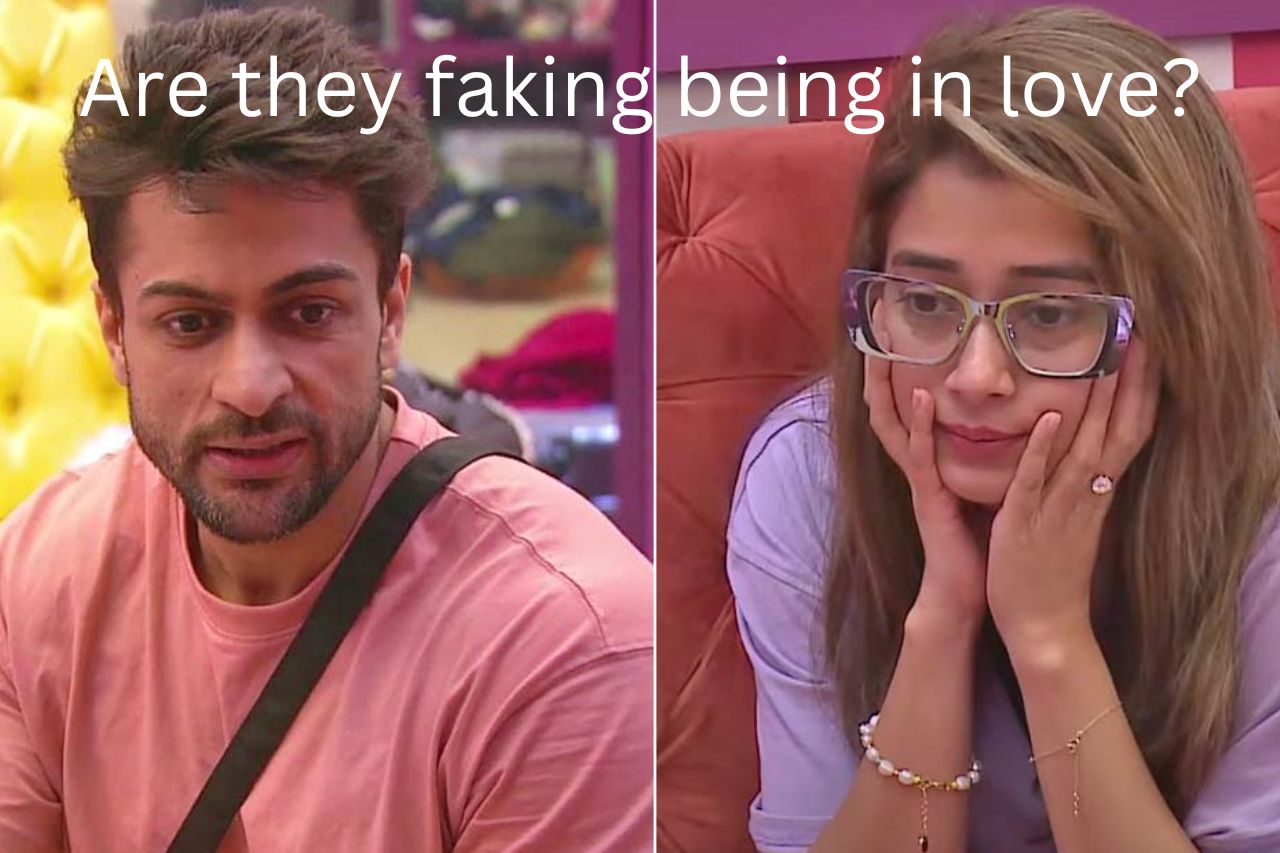 Are Tina and Shalin faking on Bigg Boss 16 that they are in love?